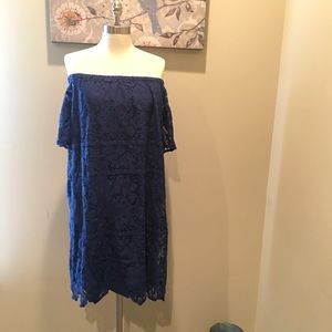 Navy LOFT Summer Lace Dress Size XL